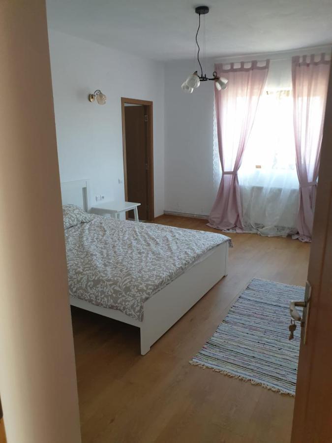 Casuta De La Munte Hotel Sfodea Bagian luar foto