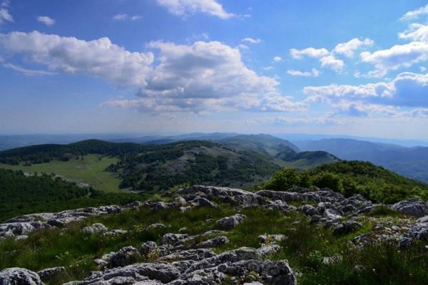 Casuta De La Munte Hotel Sfodea Bagian luar foto